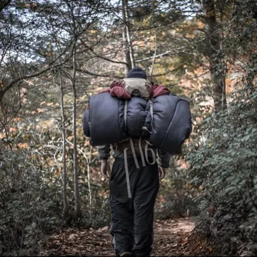 Steve Carnegis avatar