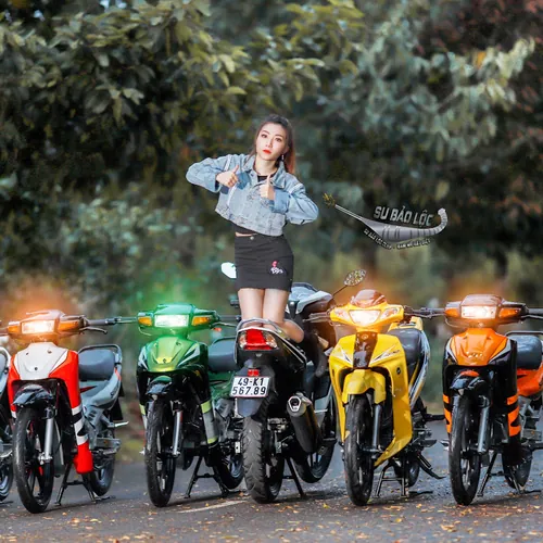 Su Bảo Lộc avatar