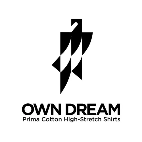 OWNDREAM avatar