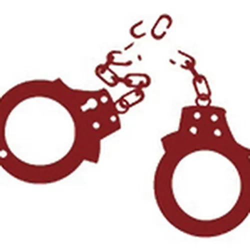 Rescued Not Arrested avatar