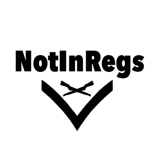 Notinregs avatar