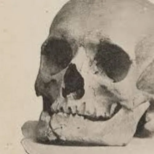 Doktor Zmorek avatar