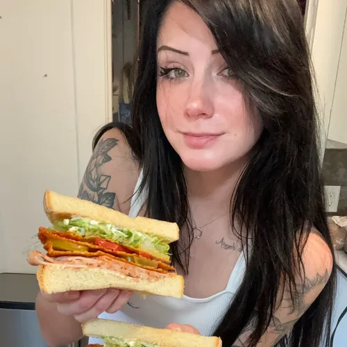 Sandwichcutiecat Realtime YouTube Live Subscriber Counter