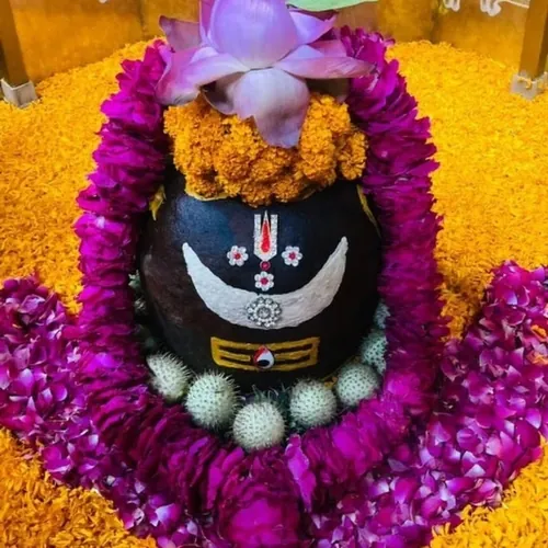 Sweety Shukla avatar