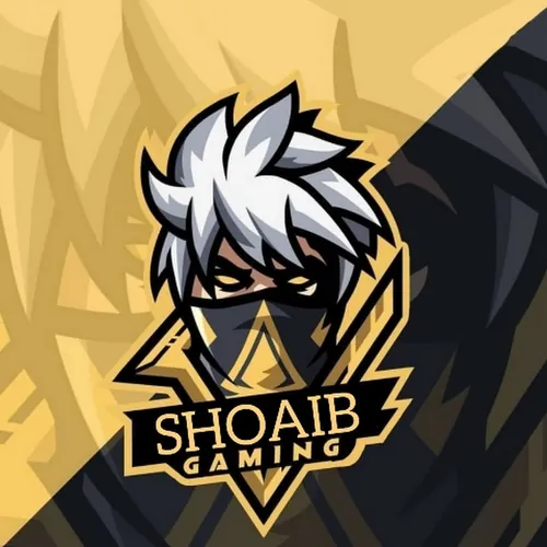 SHOAIB GAMING  avatar
