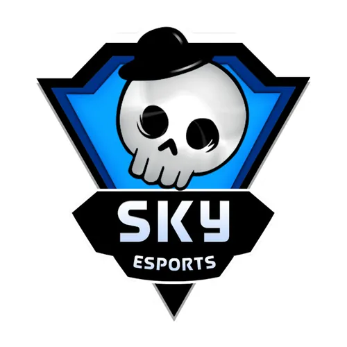 Skyesports Gaming avatar