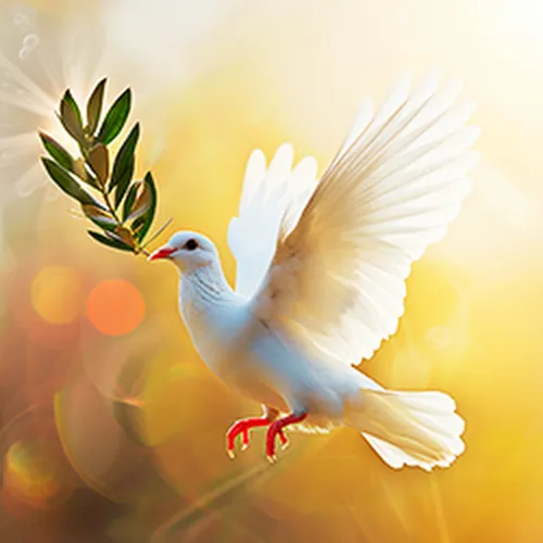 Oraciones Con fe avatar