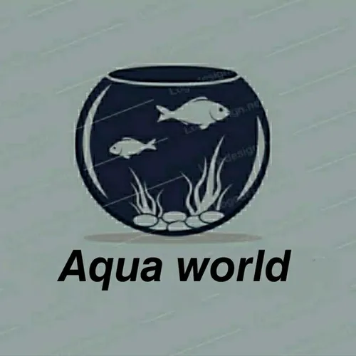 𝘼𝙦𝙪𝙖 𝙬𝙤𝙧𝙡𝙙 avatar