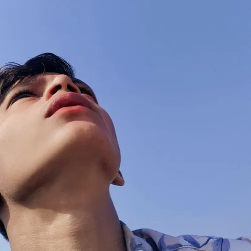 King of Sameer  avatar