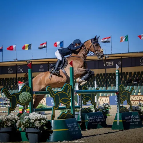 مشرف فارس 🐎 avatar