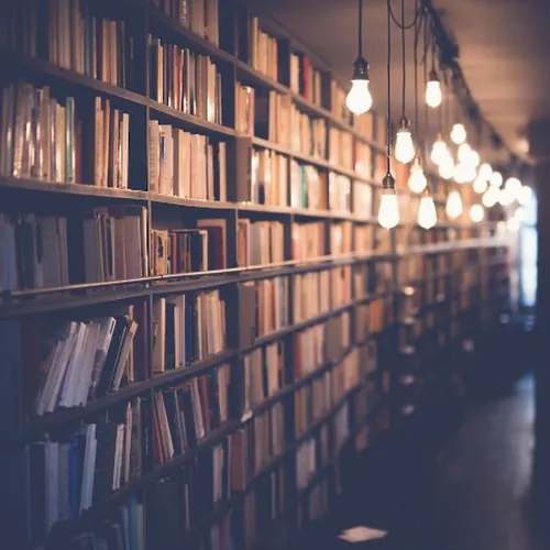 Dev Vikram Singh  avatar