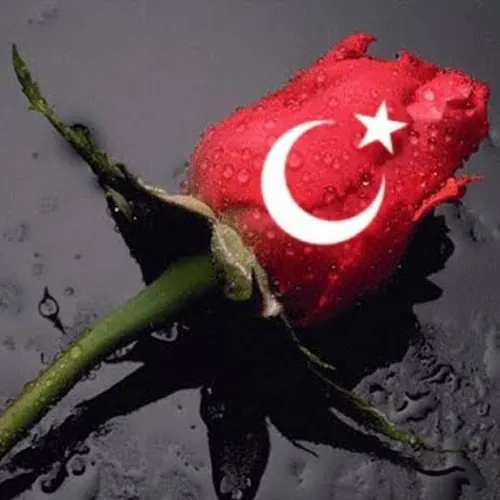 Esmanur Çakmak avatar