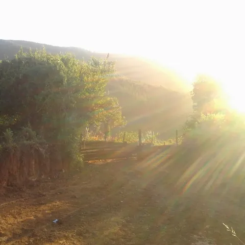 Mirta Alarcon avatar