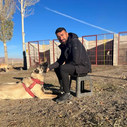 Yunus Eldemir KÖYDE YAŞAM avatar