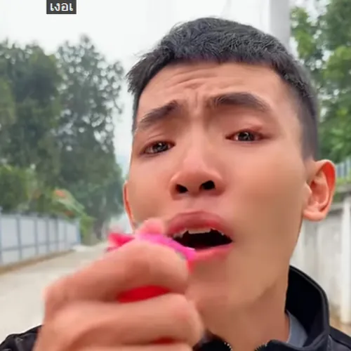 Lê Tuấn Điềm avatar