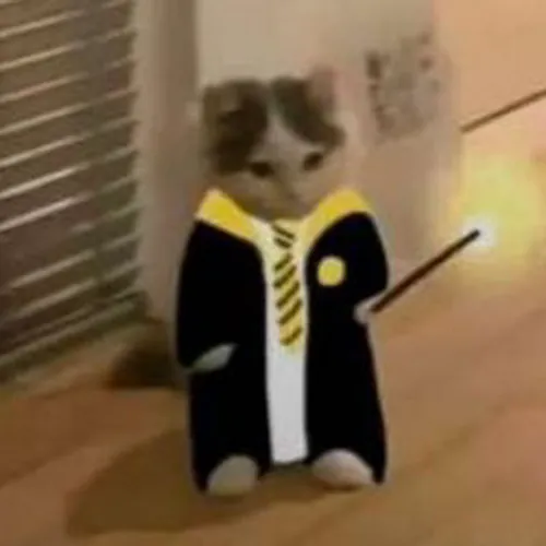 esmanur keser avatar