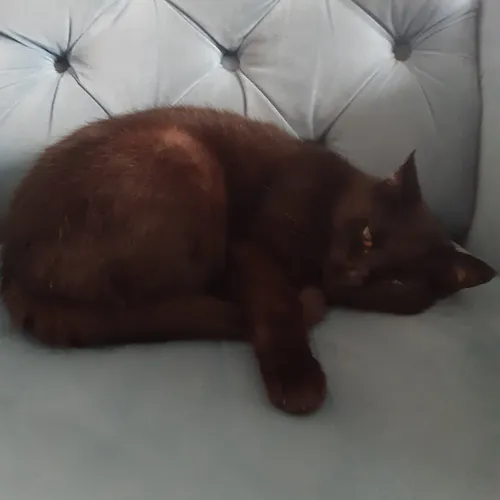 Julia Wójcik avatar