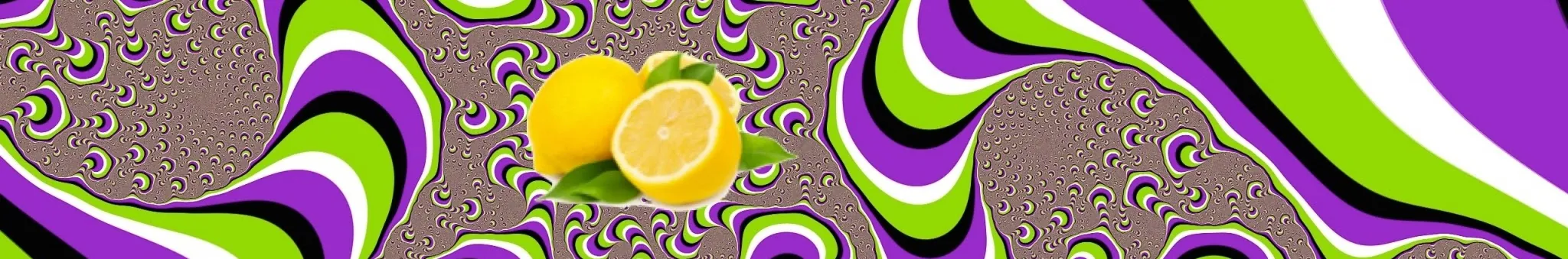 Profile Banner of Ricky Limon