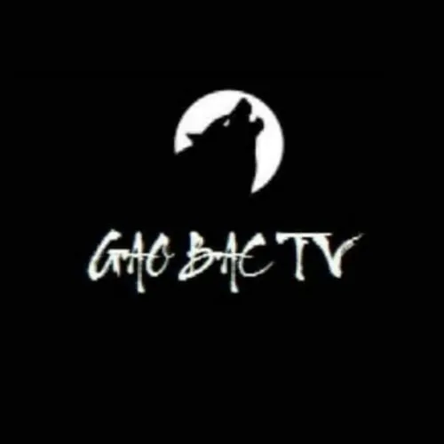GAO BẠC TV avatar