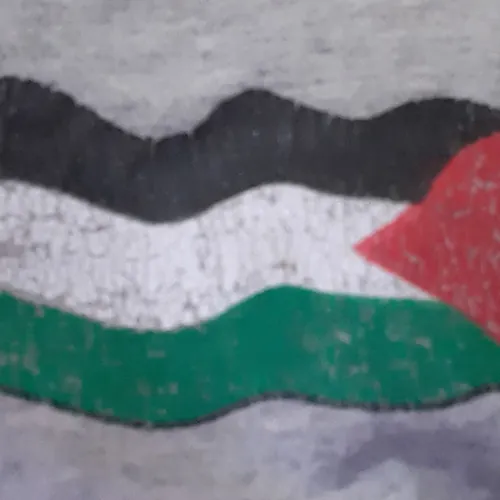 abdallah abdalah avatar