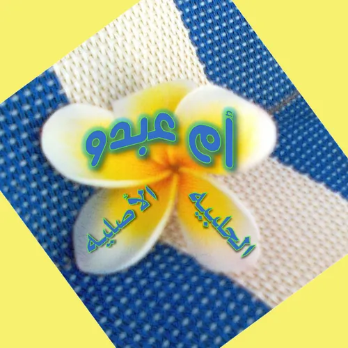 ام عبدو الحلبيه الاصليه avatar