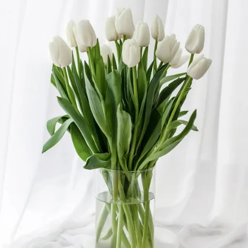 Ayşe Yıldız avatar