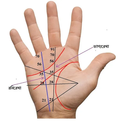 Astro Palmistry Vision avatar