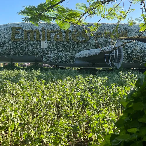 hannah preetha avatar