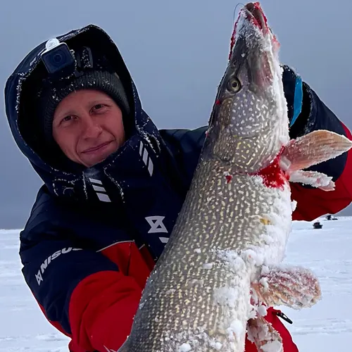 Рыбалка- рыбалочка!!! avatar