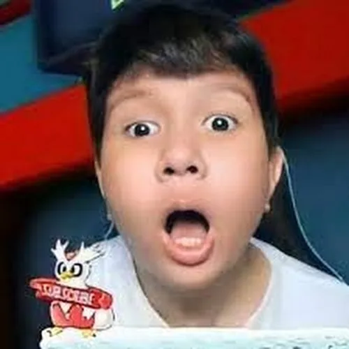 Windah Basudara avatar