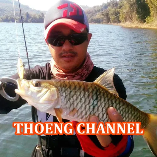 YouTube Subscriber Counter: 216,703 subscribers - THOENG channel ท่อง ...