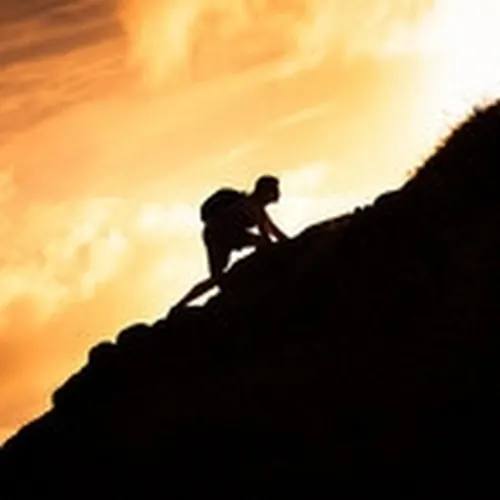 FICTION FABLES  avatar