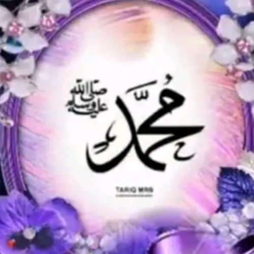 Md Husnian Ansari avatar