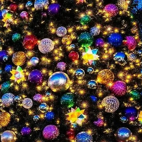 Marvadi Video avatar